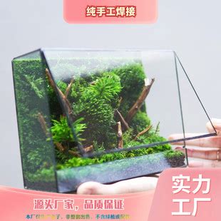 生態缸原理|生态箱